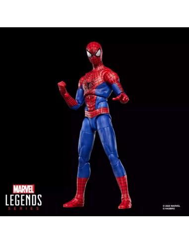 Hasbro Spider-Man Marvel Legends Series