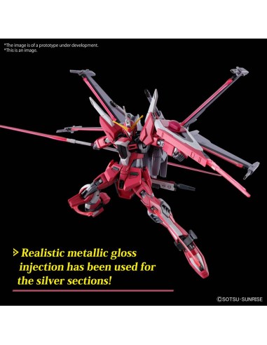 Bandai Gundam Infinite Justice Type II