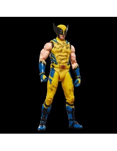 Hasbro Wolverine &...