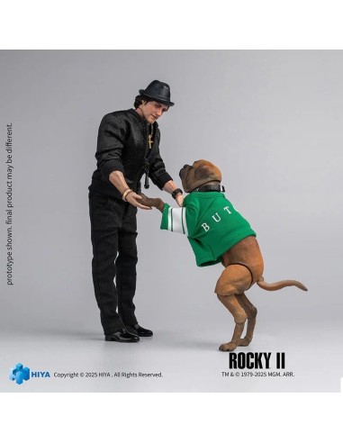 Hiya Rocky II Exquisite Super Series...