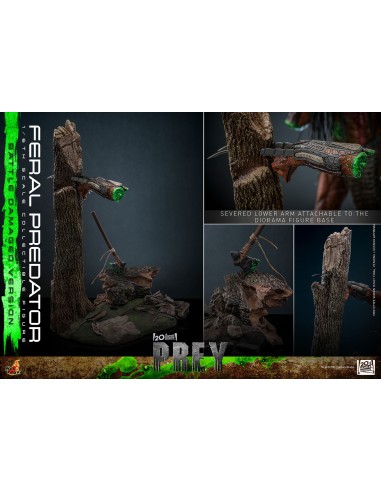 Hot Toys Prey 1/6 Feral Predator...