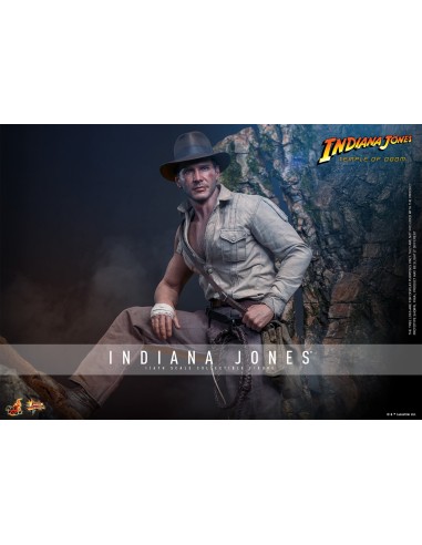 Hot Toys Indiana Jones Movie...
