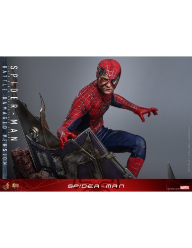 Hot Toys Spider-Man Movie Masterpiece...