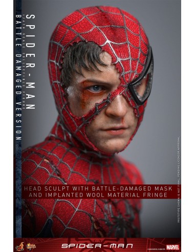 Hot Toys Spider-Man Movie Masterpiece...
