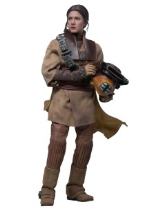 Hot Toys Star Wars Episode...