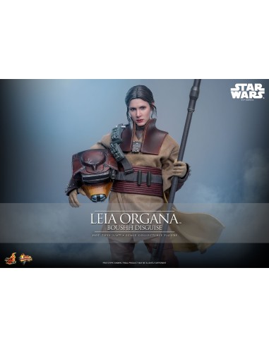 Hot Toys Star Wars Episode VI Movie...