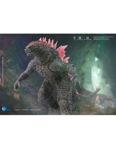 Hiya Toys Godzilla x Kong The New...