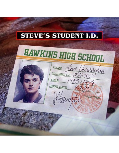 Doctor Collector Stranger Things...