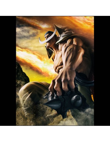 MegaHouse One Piece P.O.P NEO-Maximum...