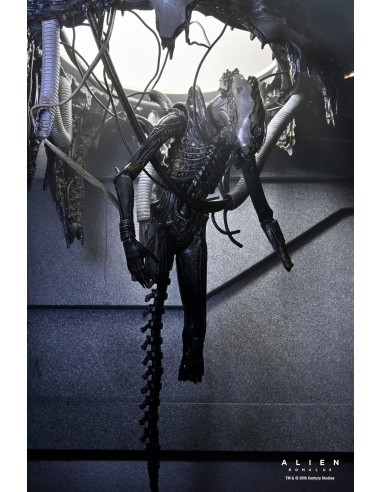 Neca Alien Romulus Suspended Lab...