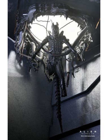 Neca Alien Romulus Suspended Lab...