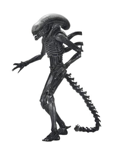 Neca Alien Romulus Xenomorph XX121