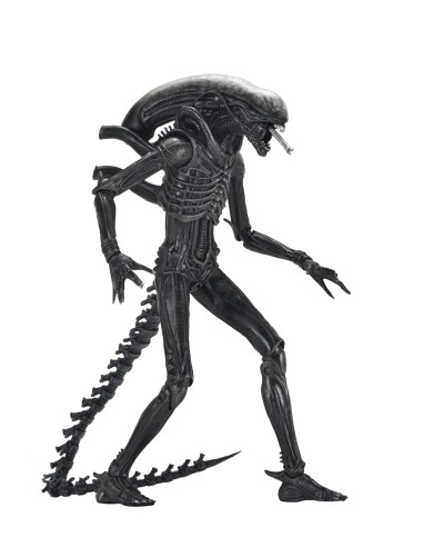 Neca Alien Romulus Xenomorph XX121