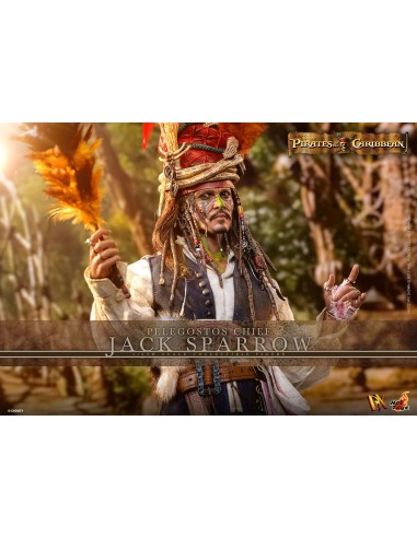 Hot Toys Pirates of the Caribbean...
