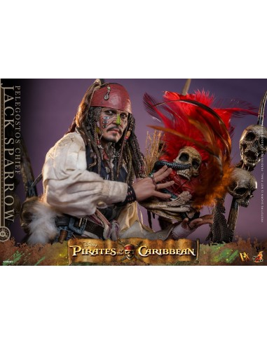 Hot Toys Pirates of the Caribbean...