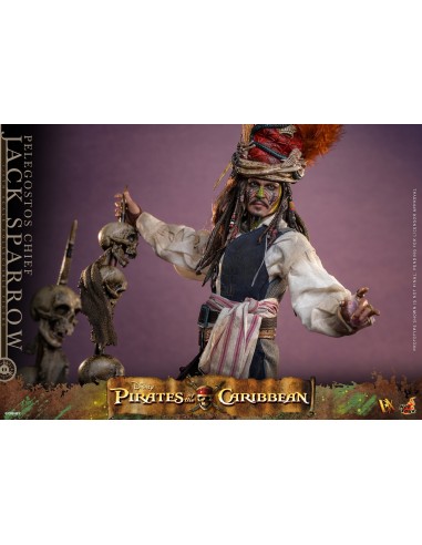 Hot Toys Pirates of the Caribbean...