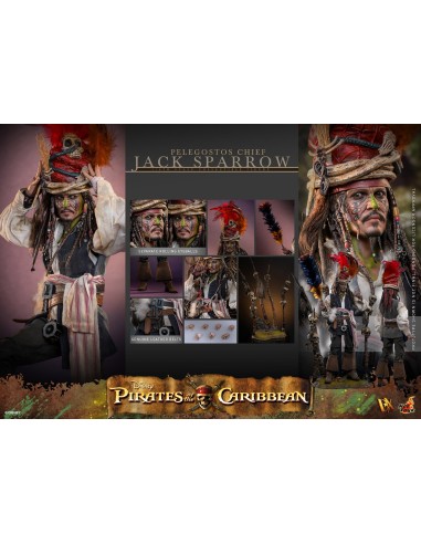 Hot Toys Pirates of the Caribbean...