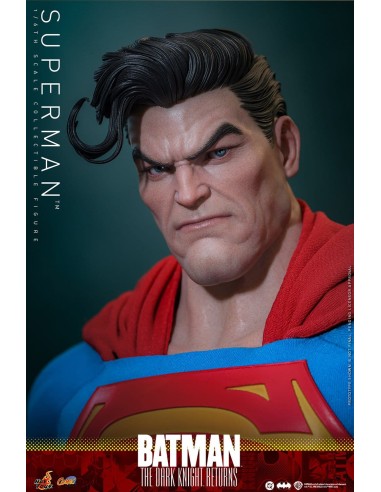 Hot Toys Batman The Dark Knight...