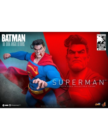 Hot Toys Batman The Dark Knight...