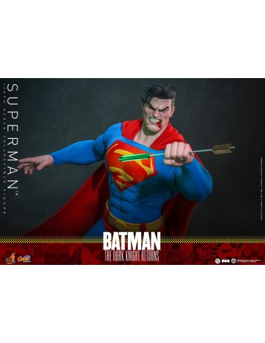 Hot Toys Batman The Dark Knight...