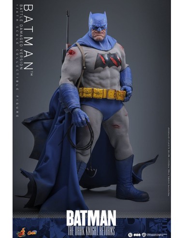 Hot Toys Batman The Dark Knight...