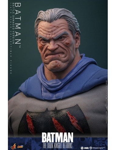 Hot Toys Batman The Dark Knight...