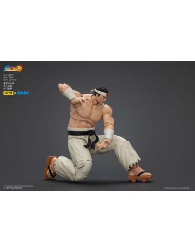 The King Of Fighters '98 Hero Team...