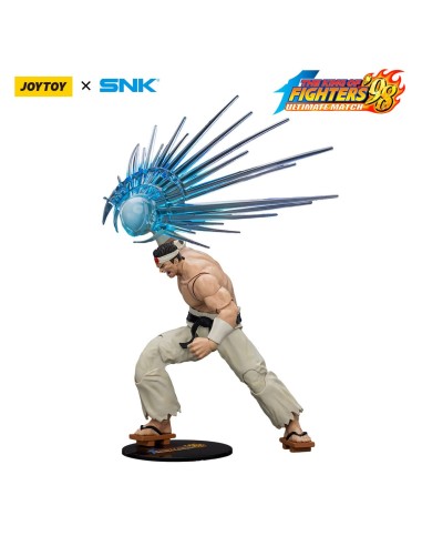 The King Of Fighters '98 Hero Team...