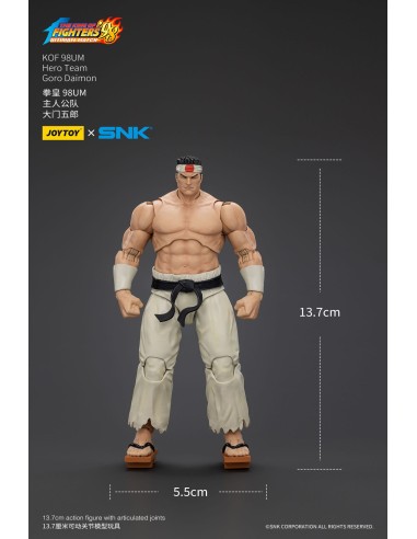 The King Of Fighters '98 Hero Team...