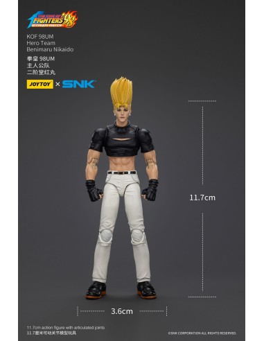 The King Of Fighters '98 Hero Team...