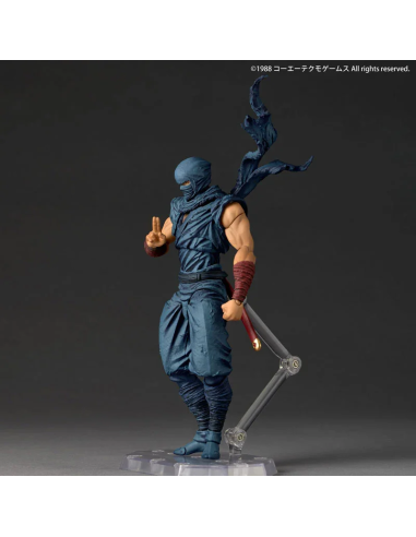 Revoltech Ryu Hayabusa Ninja Gaiden