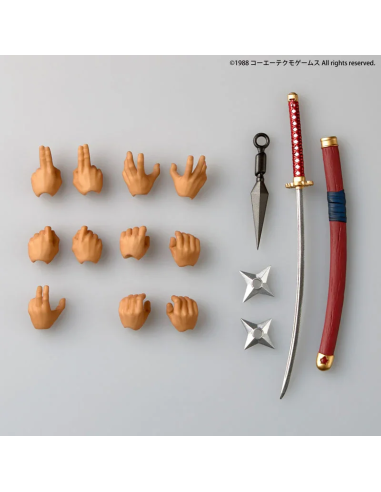 Revoltech Ryu Hayabusa Ninja Gaiden