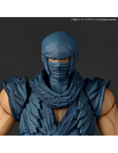 Revoltech Ryu Hayabusa Ninja Gaiden