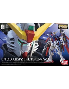 Gundam Destiny Real Grade...