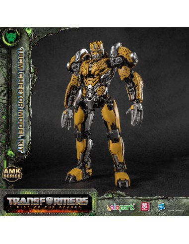 Yolopark Transformers: Rise of the...