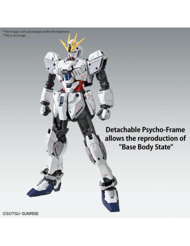 Gundam Narrative C-packs Ver Ka...