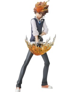 Reborn Tsunayoshi Sawada...