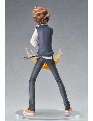 Reborn Tsunayoshi Sawada Pop Up...