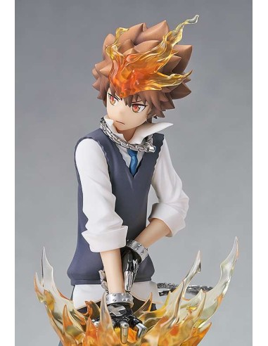 Reborn Tsunayoshi Sawada Pop Up...