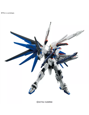 Gundam Freedom Ver 2.0 Master Grade Gundam Freedom Ver 2.0 Master Grade