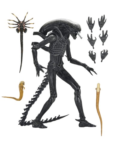 Neca Action Figure Alien Romulus... Neca Action Figure Alien Romulus...