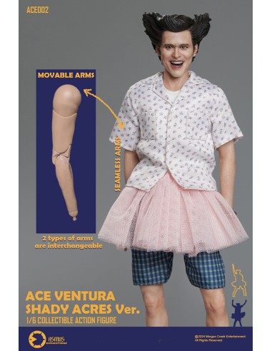 Asmus Collectible Ace Ventura Pet... Asmus Collectible Ace Ventura Pet...
