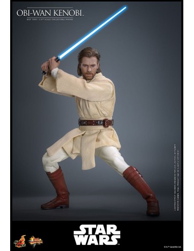 Hot Toys Star Wars Episode II Attack...