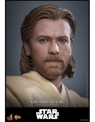 Hot Toys Star Wars Episode II Attack...