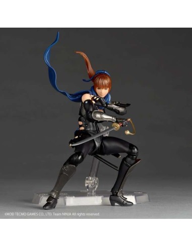 Revoltech A.Y. Ninja Gaiden Kasumi