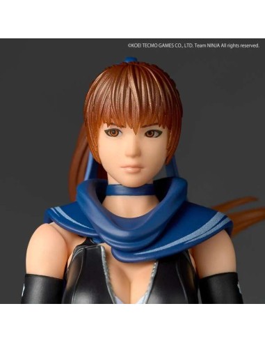 Revoltech A.Y. Ninja Gaiden Kasumi