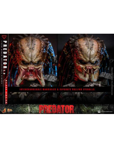 Hot Toys Predator Movie Masterpiece... Hot Toys Predator Movie Masterpiece...