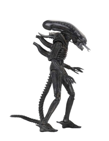 Neca Alien 1979 Ultimate 40th...