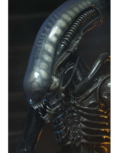 Neca Alien 1979 Ultimate 40th...