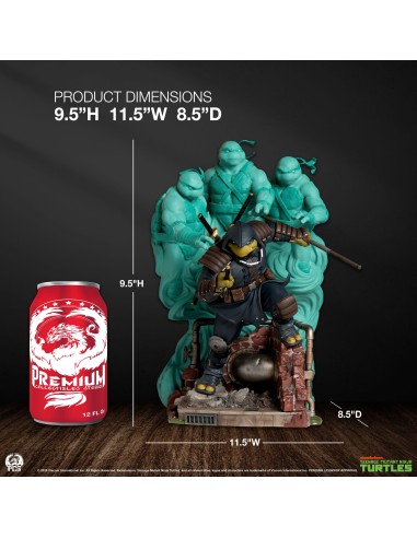 Teenage Mutant Ninja Turtles: The...